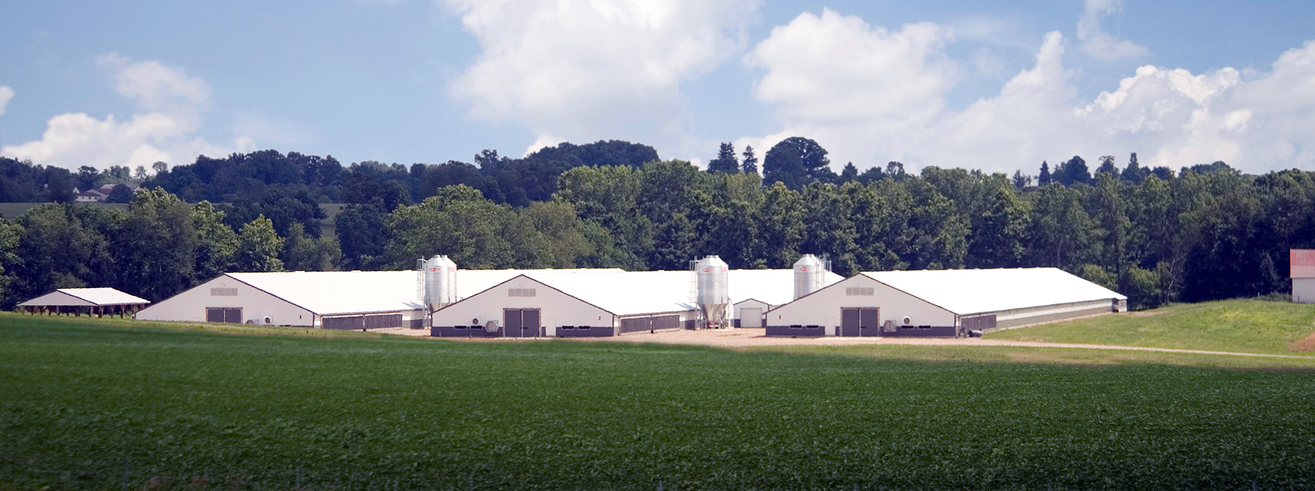 Troutman, North Carolina Poultry Farm Case Farms Chicken Case Farms